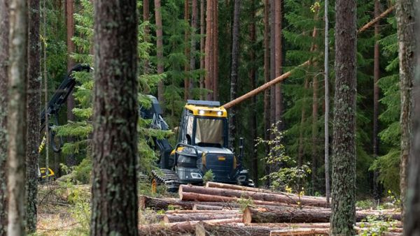Metsä Groupin tavoite on myös vähentää puunhankinnan fossiilisia päästöjä 30 prosentilla vuoteen 2030 mennessä. (Kuva: Metsä Group)