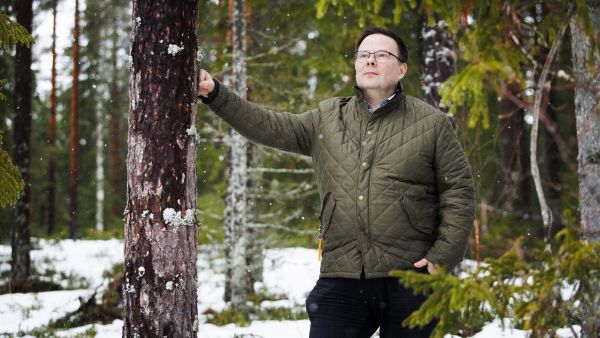 Pär-Gustaf Relanderin metsiä on vuosikymmenten ajan uudistettu metsänhoitosuunnitelmien mukaisesti. (Kuvaaja: Petteri Kivimäki)