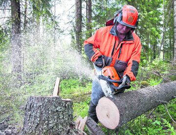 Uuden Stihlin leikkuuteho on kokoluokkansa paras. (Kuvaaja: Mikko Riikil)