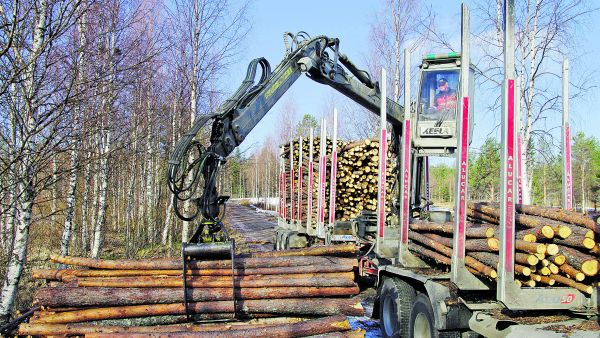 Hankintapuuta noudetaan tienvarresta yhä vähemmän. Parhaiten metsäyhtiöille kelpaa mäntykuitu. (Kuvaaja: Hannu Jauhiainen)