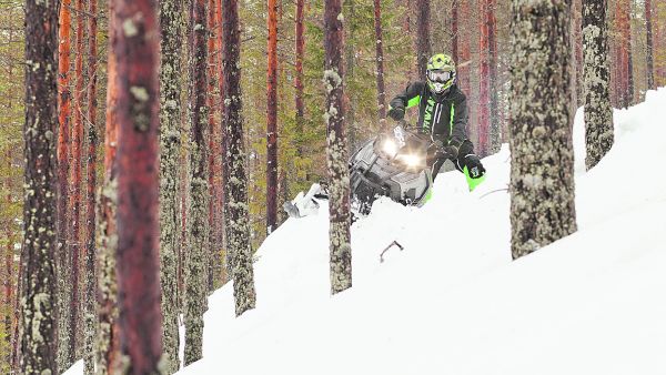 Umpihankikelkkailu ja metsänhoito muodostavat vaikean yhtälön. Ratkaisun löytyminen hyödyttäisi molempia osapuolia. (Kuvaaja: Juha-Pekka Honkanen)
