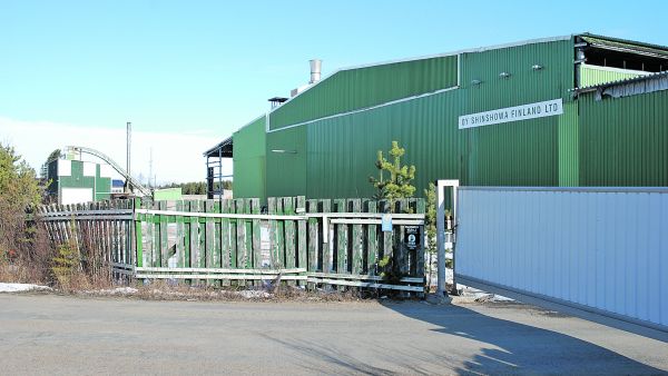 Shinshowan puunhankinta on loppunut, mutta konkurssipesä ajaa sahan tyhjäksi. Puunmyyjien saatavien kohtalo riippuu kauppatavasta ja konkurssihetken korjuutilanteesta. (Kuvaaja: Mikko Häyrynen)