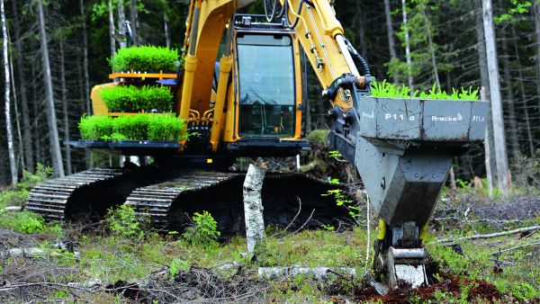 Kaivinkoneen puomiin asennettu istutuskone tekee mättään ja istuttaa siihen taimen. (Kuvaaja: Sami Karppinen)