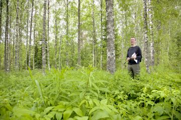 Metsään.fi-tiedoista kannattaa tarkistaa maastossa esimerkiksi puulajitiedot ennen kuin tietojen pohjalta ryhtyy puukauppoihin tai metsänhoitotöihin. Hannu Liljeroosin koivikko on Metsään.fi-tietojen mukaan männikkö. (Kuvaaja: Janne Ruotsalainen)