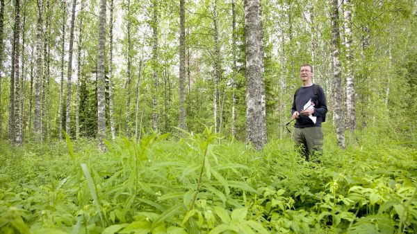 Metsään.fi-tiedoista kannattaa tarkistaa maastossa esimerkiksi puulajitiedot ennen kuin tietojen pohjalta ryhtyy puukauppoihin tai metsänhoitotöihin. Hannu Liljeroosin koivikko on Metsään.fi-tietojen mukaan männikkö. (Kuvaaja: Janne Ruotsalainen)