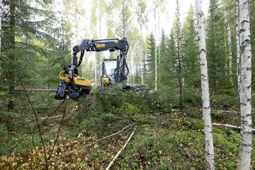 Keski-Suomessa korjuukohteita riittää, mutta maaston märkyys- ja sateet ovat rajoittaneet korjuuta, hakkuukoneenkuljettaja Ensio Mäkinen kertoo. Tässä työskennellään Petäjävedellä  Keski-Suomen metsänhoitoyhdistyksen korjuupalvelun työmaalla.  