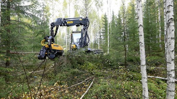 Keski-Suomessa korjuukohteita riittää, mutta maaston märkyys- ja sateet ovat rajoittaneet korjuuta, hakkuukoneenkuljettaja Ensio Mäkinen kertoo. Tässä työskennellään Petäjävedellä  Keski-Suomen metsänhoitoyhdistyksen korjuupalvelun työmaalla.  