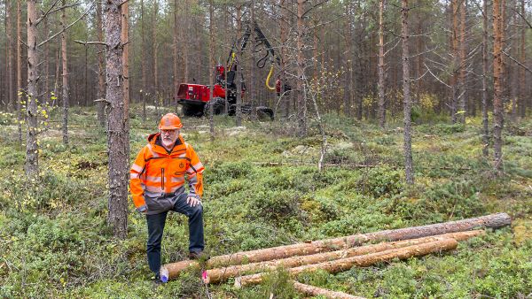 Hintatarjousten vertailu menee vaikeaksi jos leimikolta otetaan erikseen kolmenkokoista tukkia eri ostajille, Risto Koivula näyttää. Yhdistyksen korjuupalvelu harvensi männikköä Kuortaneella viime viikolla.  (Kuvaaja: Pasi Ahola)
