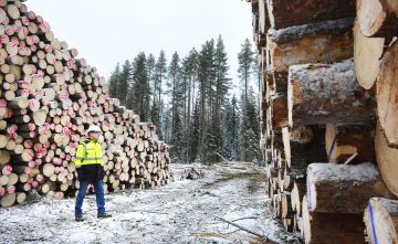 Syksyn puukauppa on sateisen sään takia keskittynyt sellaisille metsätiloille, joille on tieyhteys, kertoo UPM:n metsäasiakaspäällikkö Arto Lammi. Hän seurasi marraskuun alussa hakkuun edistymistä Vimpelissä Etelä-Pohjanmaalla sijaitsevalla hakkuualalla. (Kuvaaja: Esko Keski-Vähälä)