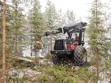 Jos taimikonhoito on jäänyt tekemättä, koneellinen nuoren metsän kunnostus energiapuunkorjuulla voi olla ratkaisu. (Kuvaaja: mikko riikilä)