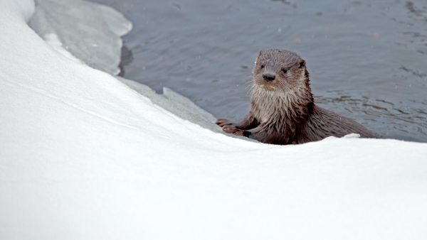   (Kuvaaja: Photographer:Benjam Pöntinen  Ti)