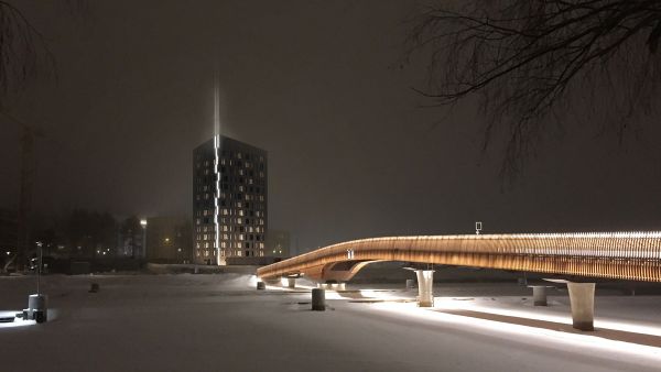 havainnekuva puukerrostalosta
