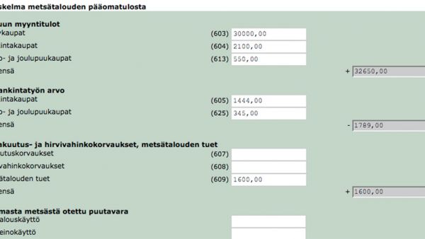 sähköinen metsäverolomake