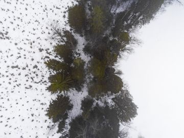 Järven (oikealla) rantaan on jätetty 15 metriä leveä ja puustoinen suojavyöhyke. Minimisuositus vyöhykkeille on 5 metriä. Pienvesien varsilla puhutaan jopa 30 metrin kaistoista. (Kuvaaja: Seppo Samuli)