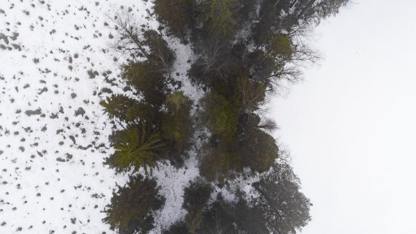 Järven (oikealla) rantaan on jätetty 15 metriä leveä ja puustoinen suojavyöhyke. Minimisuositus vyöhykkeille on 5 metriä. Pienvesien varsilla puhutaan jopa 30 metrin kaistoista. (Kuvaaja: Seppo Samuli)