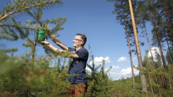 Tutkimusprofessori Antti Asikaisen mukaan Luke pystyy nykyrahoituksella hoitamaan tutkimustehtävänsä, mutta monia tutkimuksia tehdään pienemmillä aineistoilla ja matemaattisesti mallintamalla. (Kuvaaja: Johanna Kokkola)