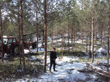 Hannu Liljeroos arvioi hiljattain myyntikohteen Pirkanmaalla. Heikki Tiura oli harventanut ja pystykarsinut nuoren männikön ja ajoi rankapuita varastolle. Kuva: Hannu Liljeroos