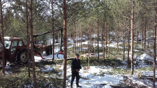 Hannu Liljeroos arvioi hiljattain myyntikohteen Pirkanmaalla. Heikki Tiura oli harventanut ja pystykarsinut nuoren männikön ja ajoi rankapuita varastolle. Kuva: Hannu Liljeroos