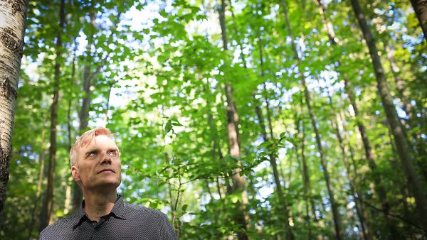 Mikko Mönkkösen mukaan jatkuvaa kasvatusta tulisi käyttää 3070 prosentissa hakkuista. (Kuvaaja: Sami Karppinen)