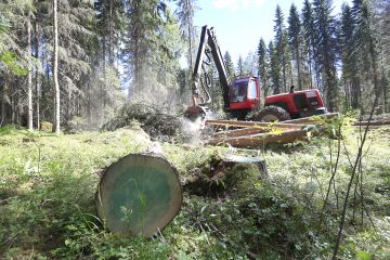  Vilkkaan puukaupan ja kuivien kelien ansiosta metsäkoneenkuljettajilla on ollut poikkeuksellisen työteliäs alkukesä. Metsäpalvelu Hiekkalan hakkuukoneenkuljettaja Henri Mäkisalo korjasi päätehakkuuleimikkoa Äänekosken Hirvaskankaalla juhannusviikolla. Kuva: Sami Karppinen