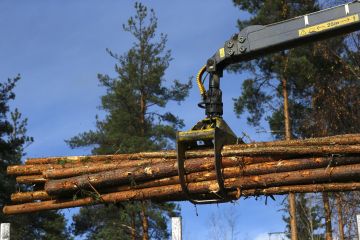 Kuitupuun hintatilastot ovat saaneet kovaakin huutia. Taustalla vaikuttaa kuitupuun ja sahojen selluhakkeen hintakytkös. Kuva: ismo Pekkarinen (Kuvaaja: Ismo Pekkarinen)