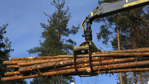 Kuitupuun hintatilastot ovat saaneet kovaakin huutia. Taustalla vaikuttaa kuitupuun ja sahojen selluhakkeen hintakytkös. Kuva: ismo Pekkarinen (Kuvaaja: Ismo Pekkarinen)