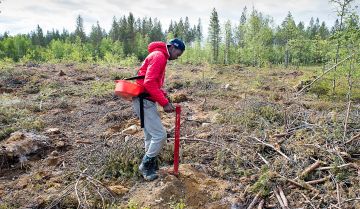 Taimi mahdollisimman keskelle mätästä, sen korkeimpaan kohtaan. Musa Rahmanille taimien istutus on maistunut kesätyönä jo kuuden vuoden ajan. Kesäkuu on pohjoisen istutuskuukausi. (Kuvaaja: Juha Ollila)