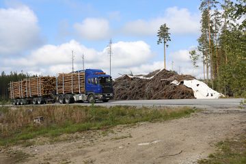 Energiapuun kysyntä on parantunut ja entistä useammin puukaupan yhteydessä tehdään tarjous myös oksa- ja latvusmassasta. Myötävire on tuonut mukanaan ilmiön, että energiapuuta käytetään ainespuun hintapaineiden venttiilinä. (Kuvaaja: Sami Karppinen)