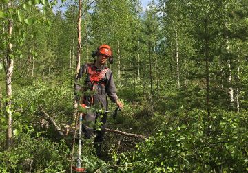 Mikko, KEnen MEtsässä RAivaat?