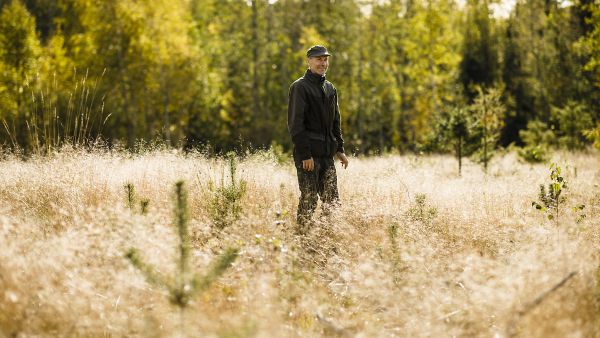 Niin kauan kuin taimien latvukset näkyvät heinän keskeltä, pärjäävät taimet omillaan, kertoo Pekka Fincke.  