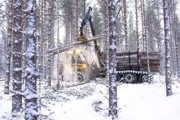 Metsäyhtiöillä on aiempaa paremmat mahdollisuudet ostaa leimikoita talvikorjuuseen. Pohjoissa talvikohteille päästäneen jo ensi kuussa. (Kuvaaja: Sami Karppinen)