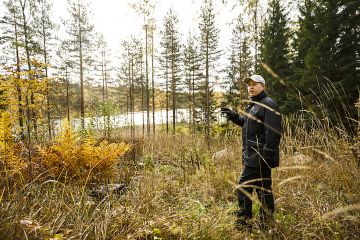 Espoolaismetsässä pienaukkojen taimettuminen on ollut sitä hankalampaa, mitä rehevämmälle maalle ne on tehty. Ääripää on aukko, jolta kaadettiin isoja mäntyjä. Nyt heinittyminen hidastaa uuden metsän syntyä, kertoo Stora Enson Olli Lukkarinen. (Kuvaaja: Seppo Samuli)