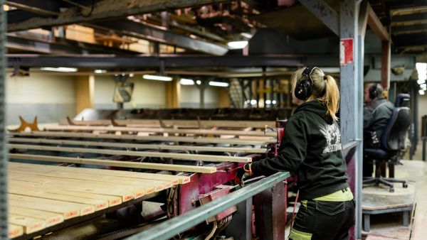 Sahatavaran laskevat maailmanmarkkinahinnat ovat saaneet Sahakuution rajoittamaan puun ostoa. Marraskuun puolivälissä sahatavaraa paketoivat yhtiön Kerimäen sahalla Riikka Makkonen ja Janne Hämäläinen. (Kuvaaja: Sirpa Mikkonen  PIIRTO photography)