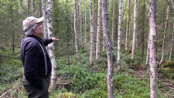 Isän kanssa metsäretkellä.