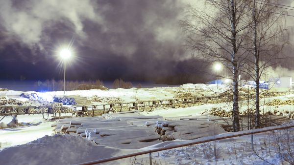 Puukauppa käy vakaasti, vaikkakin ostajien varastoihin on tiettävästi kertynyt puuta. Suurimmat epävarmuudet liittyvät sahatavaraan ja Kiinan talouteen. (Kuvaaja: Sami Karppinen)