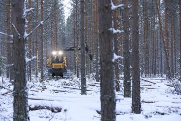 Talviharvennukset saa osassa Suomea paremmin kaupaksi, jos mukana on myös päätehakkuuta. (Kuvaaja: Sami Karppinen)
