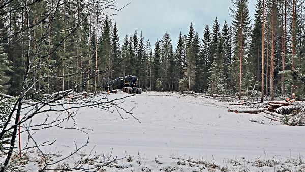Runsaasti liikennöity yksityistie kulkee kuvan vaakasuunnassa. Varastopaikka on tehty kohtisuoraan tietä vasten.  