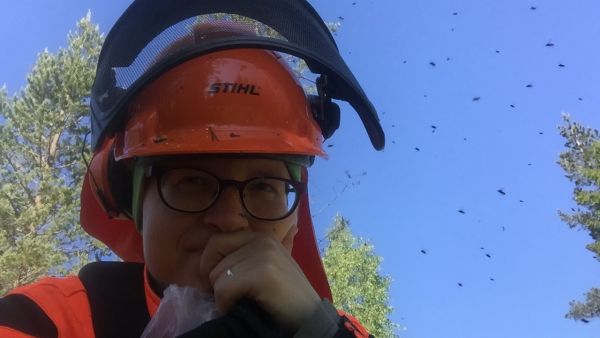 Työharjoittelun raivaushommissa riitti onneksi kavereita.