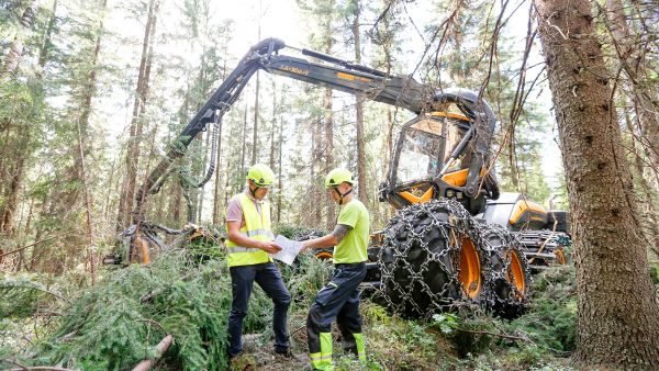 FinnHarvestissa osaava henkilöstö nähdään yrityksen tärkeimpänä voimavarana. Talous- ja kehitysjohtaja Anssi Nykänen (vas.) ja hakkuukoneenkuljettaja Niko Pääkkönen vaihtoivat ajatuksia työstä harvennusleimikolla. (Kuvaaja: Sami Karppinen)