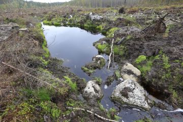 Vesiensuojelutoimenpiteet oli huomioitu maanmuokkauksen yhteydessä vuonna 2018 edellisvuotta heikommin.  (Kuvaaja: Sami Karppinen)