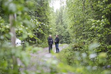 Alle 40-vuotiaiden metsänomistajien arvoissa korostuvat edellistä sukupolvea useammin taloudellisen tuloksen ohella luonnon monimuotoisuuden lisääminen ja ympäristöasiat. Nuoret hakevat aktiivisesti metsiin liittyvää tietoa muun muassa metsäammattilaisilta ja alan lehdistä. (Kuvaaja: Sami Karppinen)