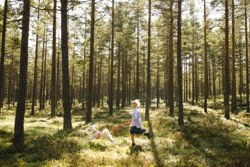 Susan Elo lenkkeilee metsässään viikottain koiransa kanssa. Kuivan hiekkakankaan männikössä on helppo liikkua. (Kuvaaja: Seppo Samuli)