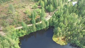Päätehakkuukuusikko oli kesäkorjuukelpoinen ja sijaitsi kantavan autotien varrella. (Kuvaaja: Jaakko Temmes)
