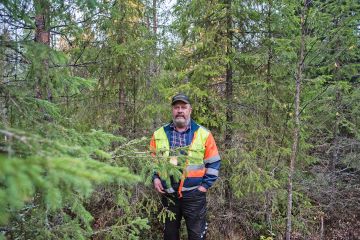 Metsänomistaja Risto Mämmilä sopi Otson kanssa Rovaniemellä sijaitsevan taimikon raivauksesta, mutta työ on jäänyt tekemättä. Yhtiön toimittamaan metsäsuunnitelmaan Mämmilä on ollut tyytyväinen. (Kuvaaja: Juha Ollila)