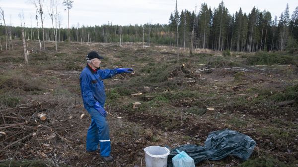 Eero Mähösen käpysaalis uhkaa jäädä tavoitteesta, koska keruukohteiden löytäminen on vaikeutunut EU:n tietosuoja-asetuksen myötä huomattavasti.  (Kuvaaja: Jyrki Luukkonen)