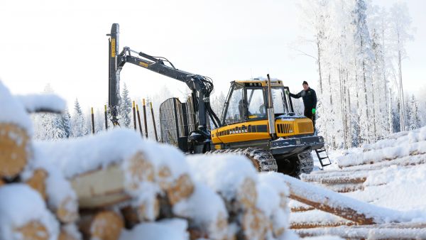 Harri Suutarin metsistä korjataan vuosittain 15 000 kuutiota puuta ja siitä 95 prosenttia harvennuksilta. (Kuvaaja: Sami Karppinen)