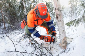 Stihlin uuden uuden akkusahan teho riittää ensiharvennuksille.  (Kuvaaja: Sami Karppinen)