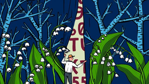 Metsävähennyspohja muodostuu maatilaksi katsottavan metsän hankintamenosta. (Piirros: Veera Komulainen)