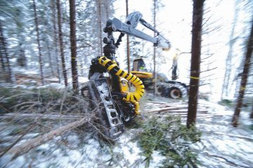 metsäkone työskentelee