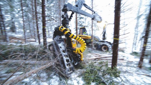 metsäkone työskentelee